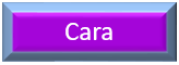 Cara icon