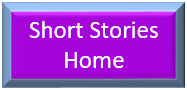  SS Home icon