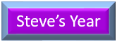 Steve's Year icon